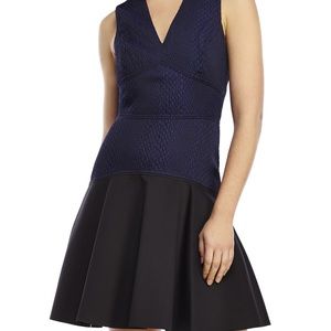 Rebecca Taylor Snake Fit & Flare Dress